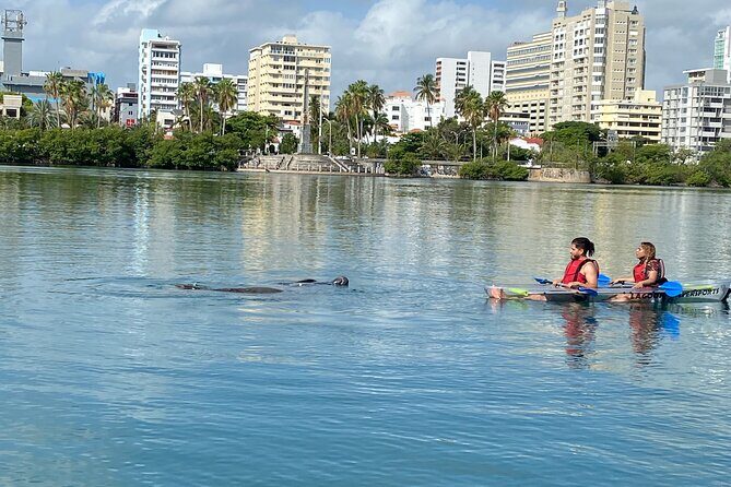 Clear Kayak Tour in Condado Lagoon - The Sum Up: Who Should Book This Tour?
