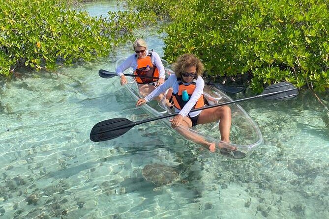 Clear Kayak Tour in Turks & Caicos Islands - Experience the beauty of Turks & Caicos with a Clear Kayak Tour