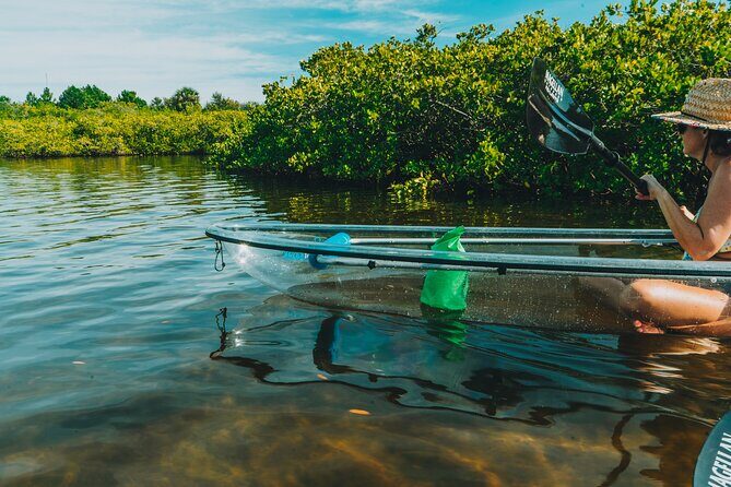 Clear Kayak Tour of Tarpon Springs | Manatee Season - Exploring the Tour in Detail