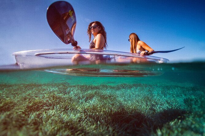 Clear Kayak Tour to Canyon, Island Cliffs & small Cave - Authentic Reviews and Real Traveler Insights