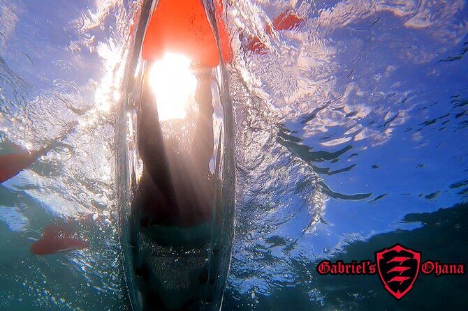 Clear Kayak Tour with Pontoons and Optional Snorkeling-Unlimited - An In-Depth Look at the Clear Kayak Tour with Pontoons and Unlimited Snorkeling