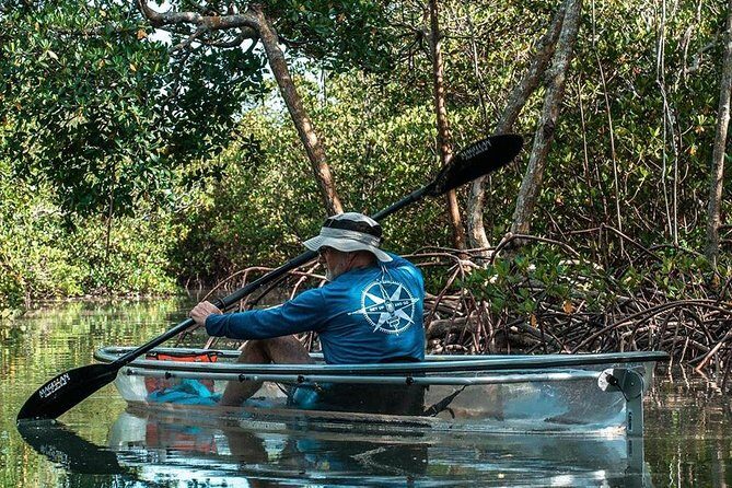 Clear Kayak Tours in Fort Pierce - A Water Adventure in Fort Pierce: Clear Kayak Tours with Todd