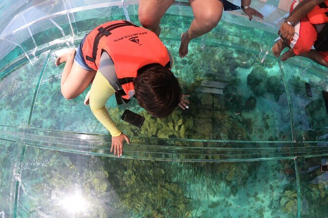 Clearboat in Cancun + Refreshments !! - FAQ