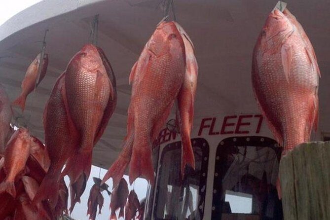 Clearwater Beach Day Trip from Orlando with Upgrade Options - FAQ