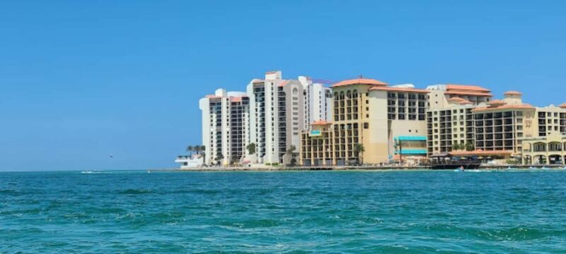 Clearwater Beach: Dolphin Excursion - Flippers Fun Boat - The Dolphin Encounter