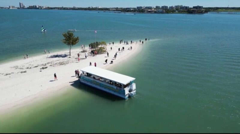 Clearwater Beach: Dolphin & Island Sandbar Cruise - An Authentic Look at the Clearwater Dolphin & Sandbar Cruise