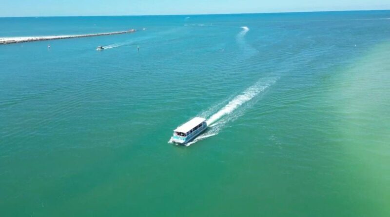 Clearwater Beach: Dolphin & Island Sandbar Cruise - FAQs