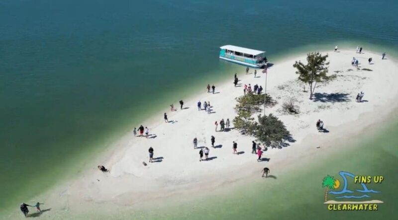 Clearwater Beach: Dolphin & Island Sandbar Cruise - Who Should Book This Tour?