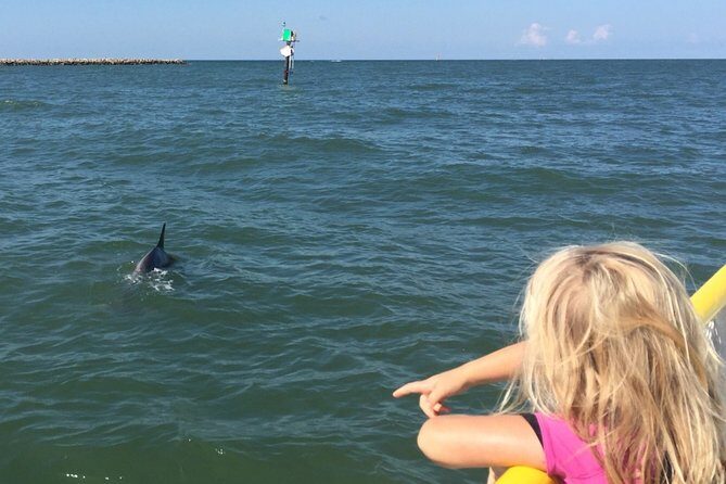 Clearwater Encounters with Dolphins Tour - FAQ