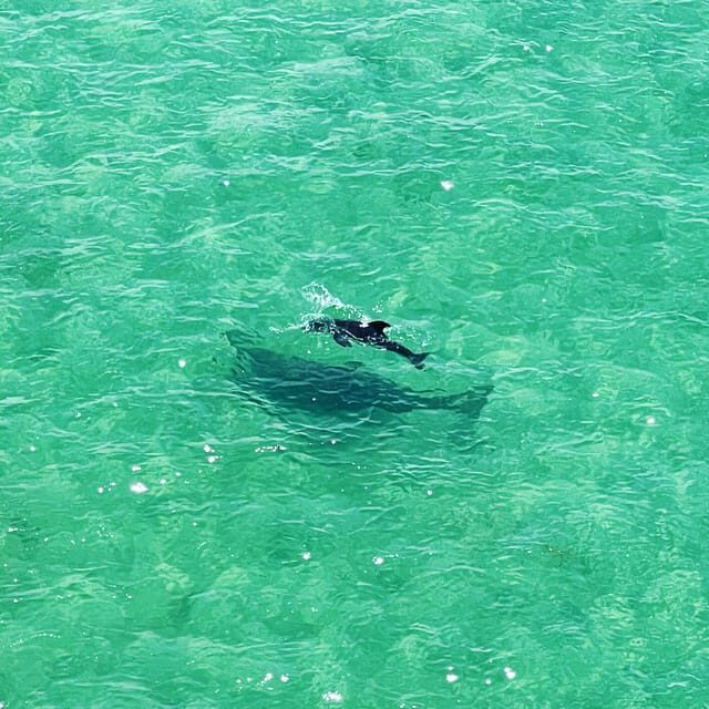 Clearwater: Guided Clear Kayaking Tour - A Detailed Dive into the Clearwater Kayaking Tour