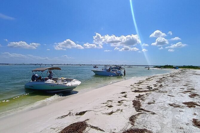 Clearwater Island Escape  Private 4-Hour Half-Day Cruise - Who Will Love This Tour?