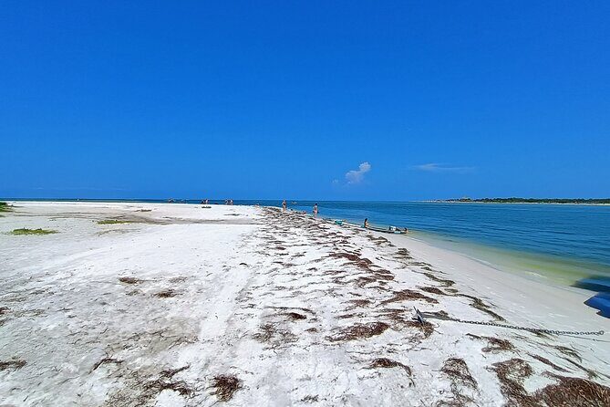 Clearwater Island Escape  Private 4-Hour Half-Day Cruise - The Sum Up