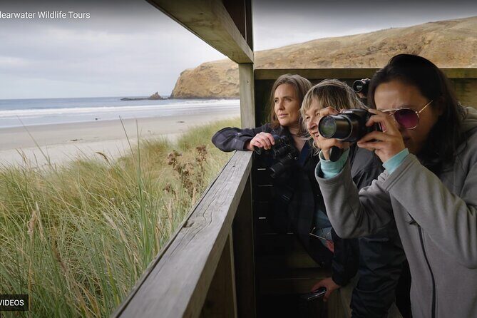 Clearwater Private Penguin & Wildlife Tour from Port Otago (5hrs) - What It Feels Like: The Experience from a Traveler’s Perspective