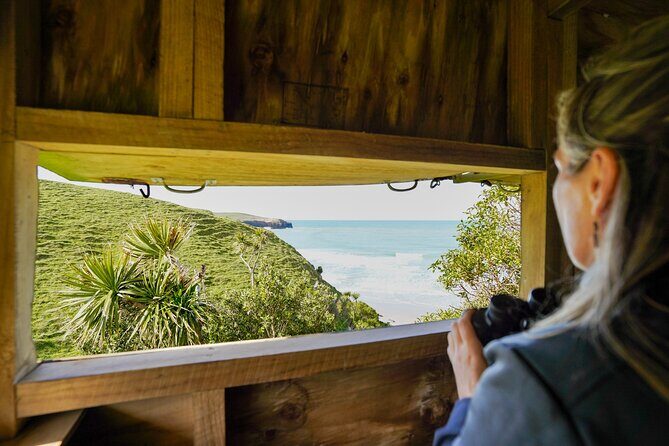 Clearwater Private Penguin & Wildlife Tour from Port Otago (5hrs) - Who Will Enjoy This Tour?