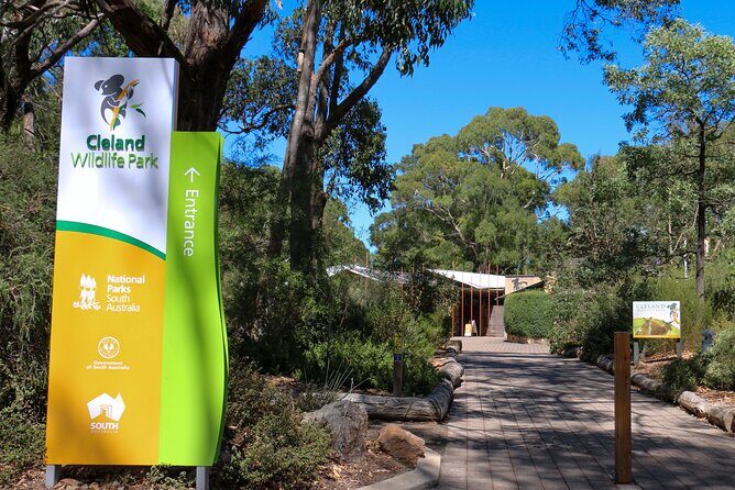 Cleland Wildlife Park Experience - from Adelaide including Mt Lofty Summit - An Honest Look at What the Tour Offers