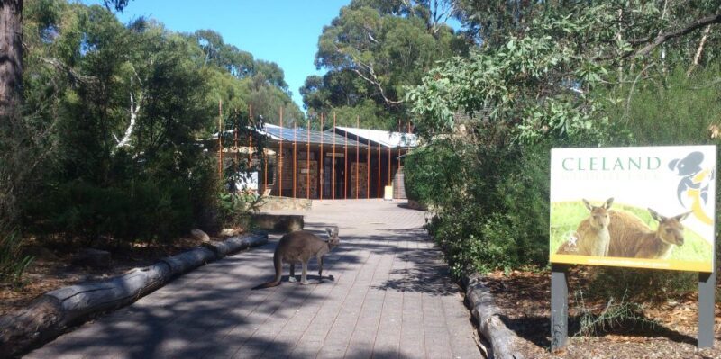 Cleland Wildlife Park Experience with Mount Lofty Summit - Final Thoughts: Who Will Love This Tour?