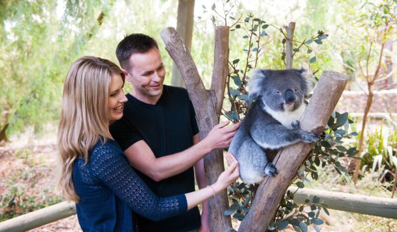 Cleland Wildlife Park Experience with Mount Lofty Summit - Practical FAQs