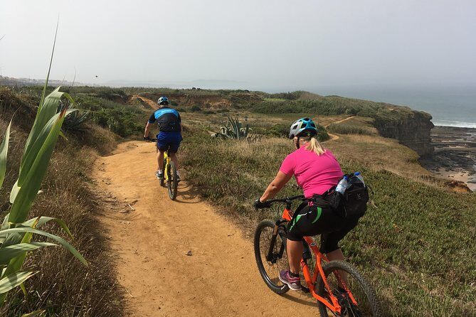 Cliff Top Ride - Authentic Reviews and Real Experiences