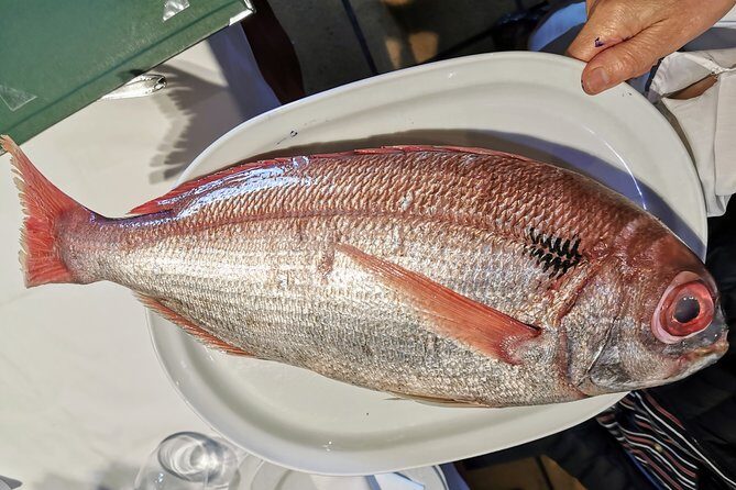 CLIFFS, GRILLED FISH and TXAKOLI WINE - Private Gastronomic Adventure - The Highlight: Fresh Fish and Charcoal Grills