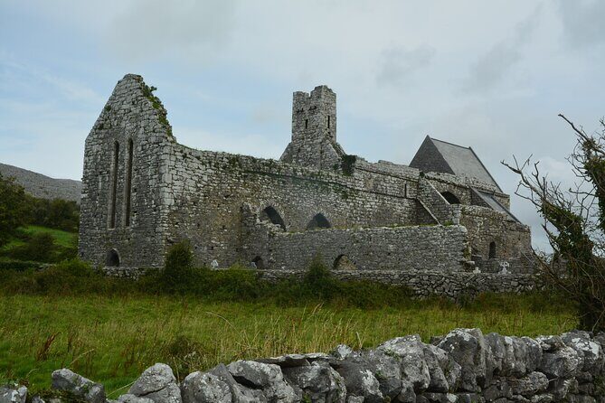 Cliffs of Moher and Burren Private Tour from Galway - Authenticity & Experience: What Travelers Say