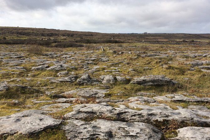 Cliffs of Moher and the Burren Private Tour - Why Choose This Tour?