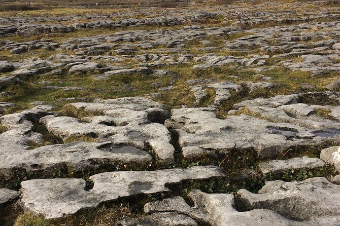 Cliffs of Moher and the Burren Private Tour - Frequently Asked Questions