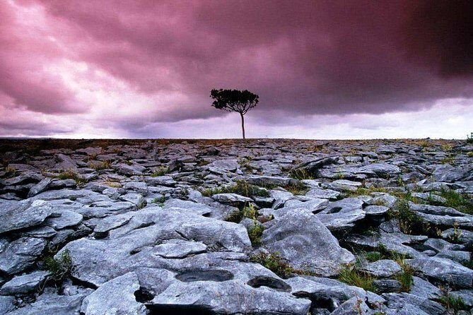 Cliffs of Moher, Aran Island & Burren tour from Galway. Guided. - Who Would Enjoy This Tour?