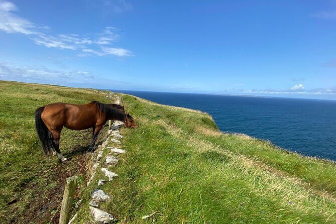 Cliffs of Moher Hiking Tour from Galway - Small Group - A Deep Dive into the Cliffs of Moher Hiking Tour from Galway