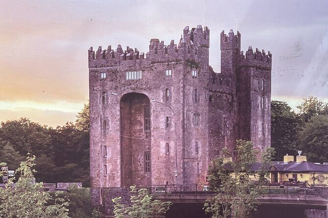 Cliffs of Moher Private Tour from Killarney - What Travelers Say