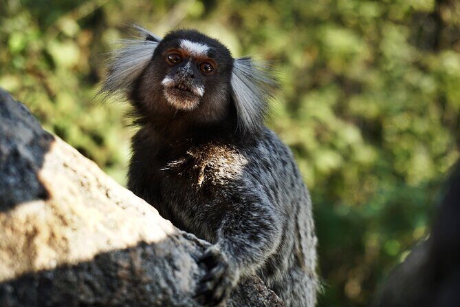 Climb Sugarloaf: A Thrilling Adventure to Rios Postcard Peak - An In-Depth Look at the Sugarloaf Climb Tour