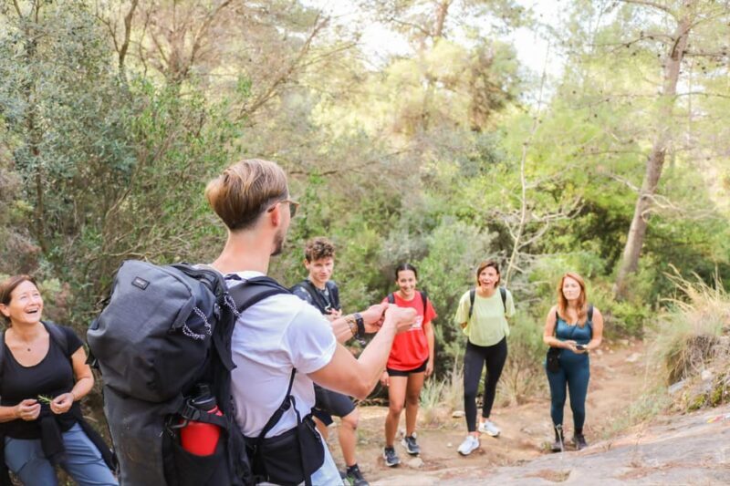 Climb the La Concha: Guided Private Hiking Trip - Who Should Book This Tour?