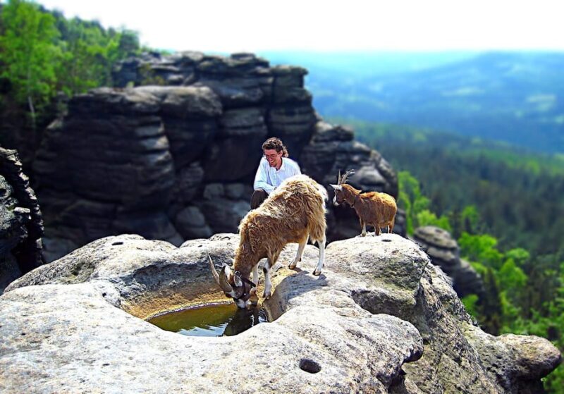 Climb the mountains together with goats - Climb the mountains together with goats — a truly unique way to explore Saxony