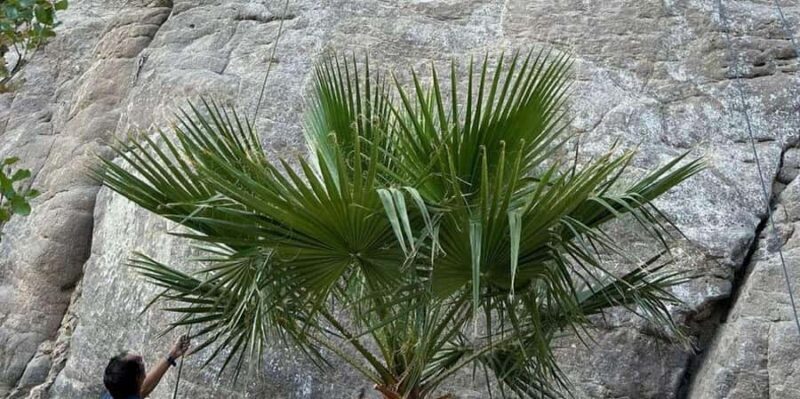 Climbing in the Chilina Valley - Key Points