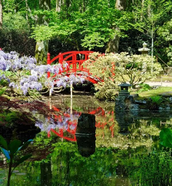 Clingendael: Japanse tuin - Detailed Breakdown of the Experience