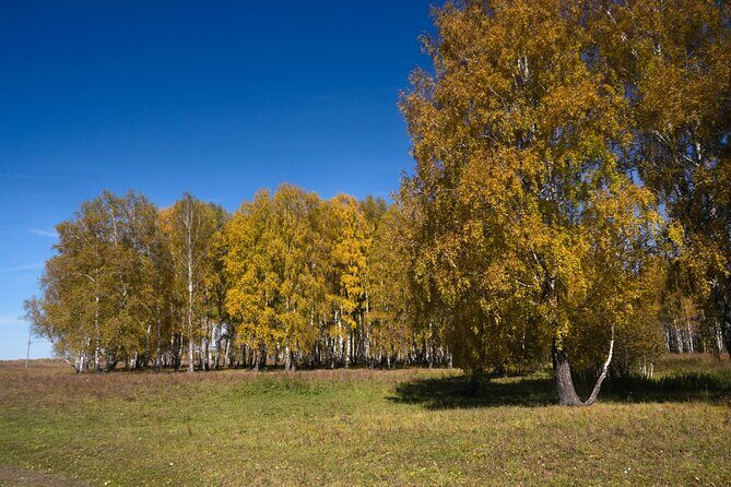 Clingmans Dome Self Guided Walking Audio Tour - Who Would Most Benefit?