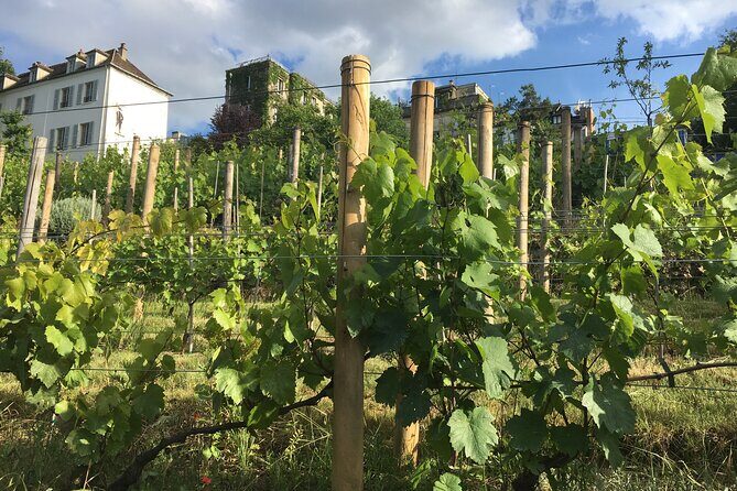 Clos Montmartre 'Paris in your Glass' Wine Tasting - A Closer Look at the Experience