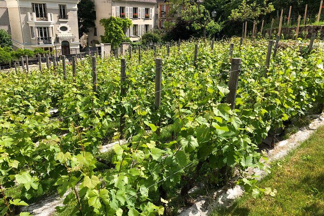 Clos Montmartre 'Paris in your Glass' Wine Tasting - FAQ