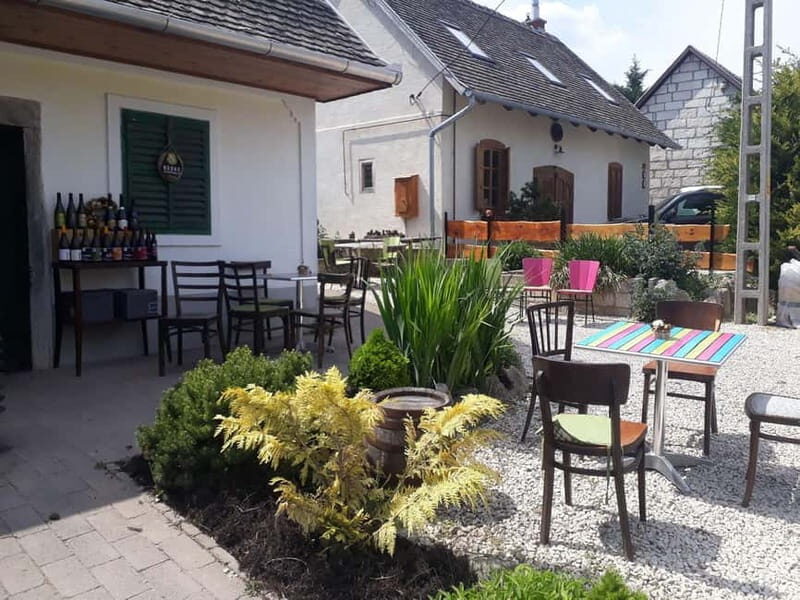 Close to Budapest:Wine Tasting in a Small Cozy Family Winery - Key Points