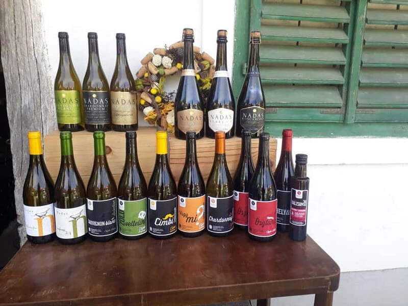 Close to Budapest:Wine Tasting in a Small Cozy Family Winery - The Itinerary Breakdown