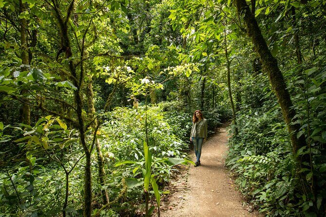 Cloud Forest Adventure: Hike the Mystical Canopy! - Who Would Enjoy This Tour?