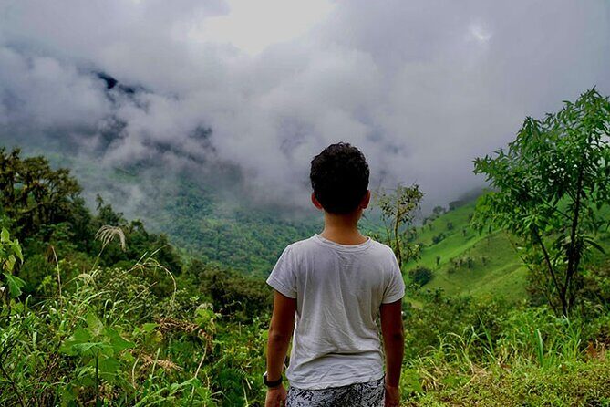 Cloud Forest and waterfalls private Day trip - What We Think: The Value and Experience