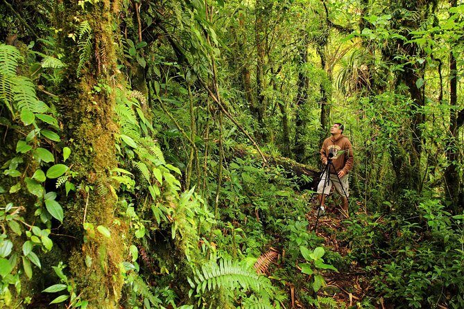 Cloud Forest Hike at Juan Castro Blanco National Park - Who Will Love This Tour?