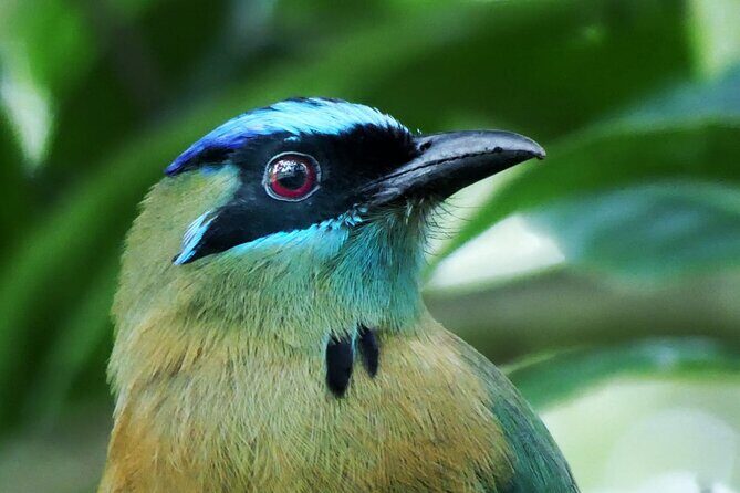 Cloud forest hike only 30 minutes from San Jose - Experience the Cloud Forest Just 30 Minutes from San José
