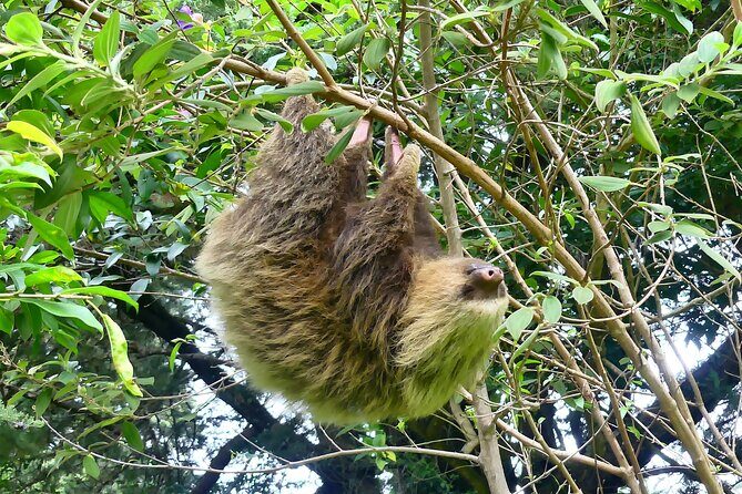 Cloud forest hike only 30 minutes from San Jose - Key Points