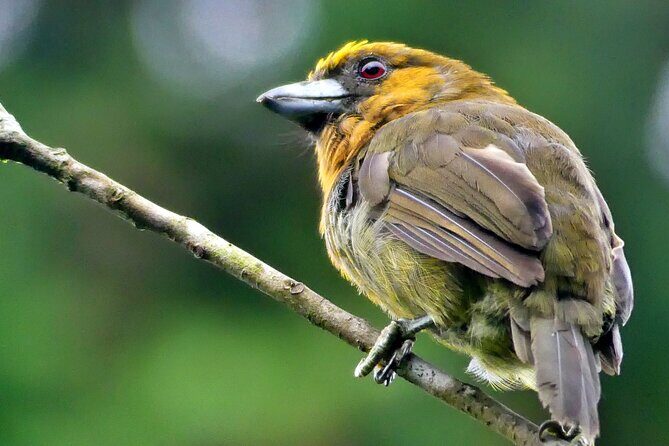 Cloud forest hike only 30 minutes from San Jose - Final Thoughts