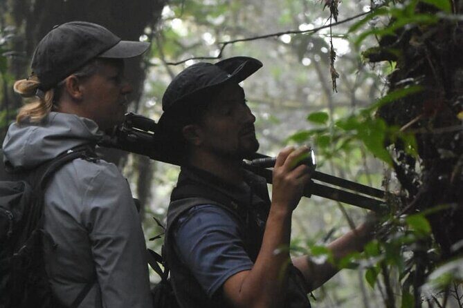 Cloud forest wonders guided tour - Final Thoughts: Who Should Consider This Tour?