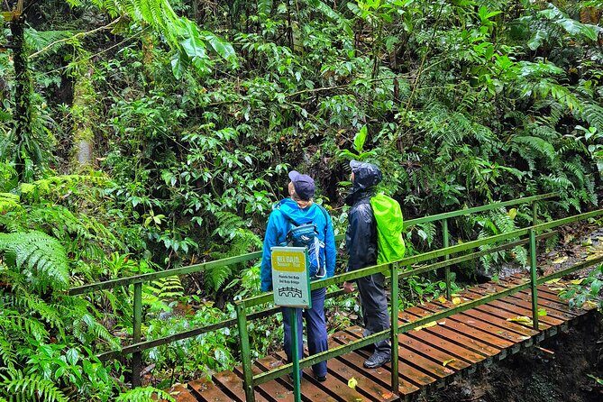 Cloud forest wonders guided tour - To sum it up