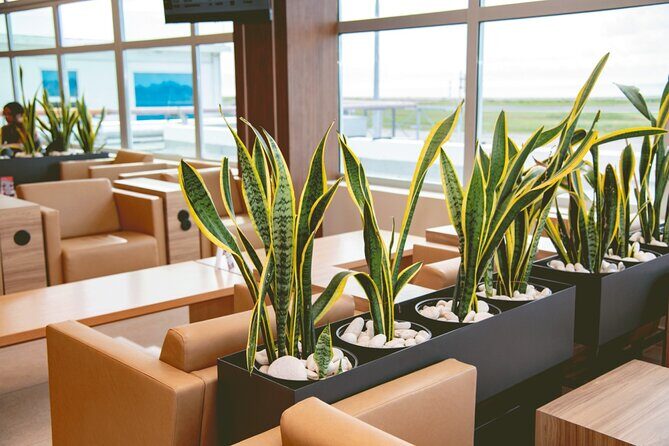 Club Mobay Sangster Airport VIP Lounge with Priority Entry - How Much Does It Cost and Is It Worth It?