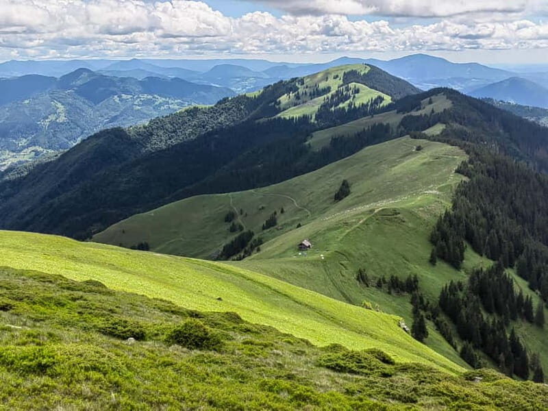 Cluj Napoca: Rodnei Mountains Full-Day Guided Hiking Tour - The Scenic Highlights of the Day