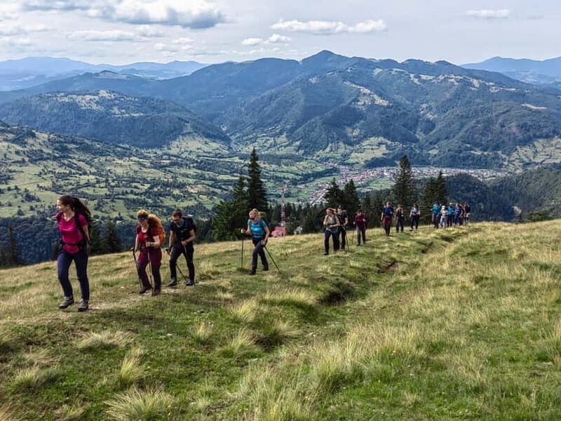 Cluj Napoca: Rodnei Mountains Full-Day Guided Hiking Tour - Practical Details and What You Need to Know